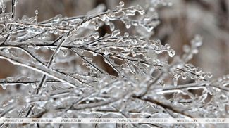 Фота з архіва