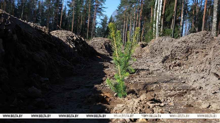 Фота з архіва