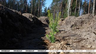 Фота з архіва