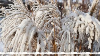 Фота з архіва