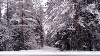 Фота з архіва