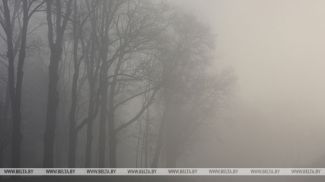 Фота з архіва