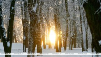 Фота з архіва