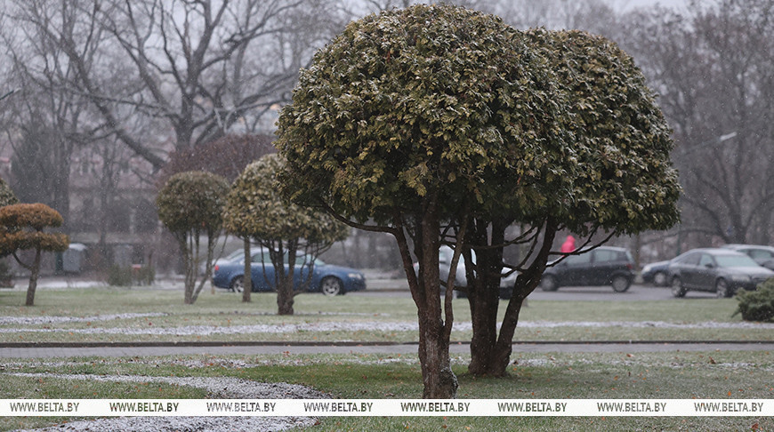 Фота з архіва