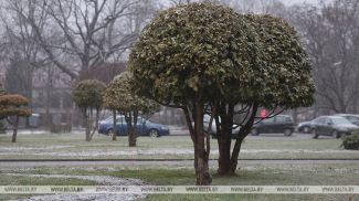 Фота з архіва