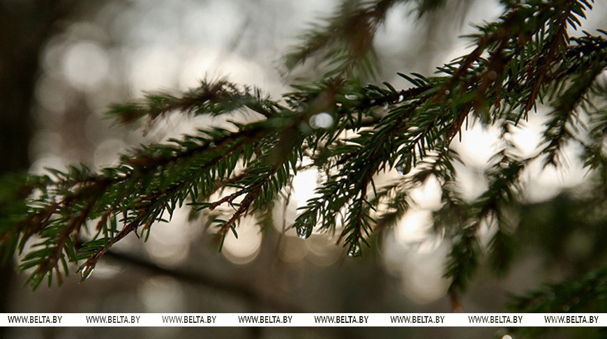 Фота з архіва