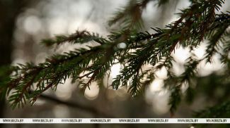 Фота з архіва