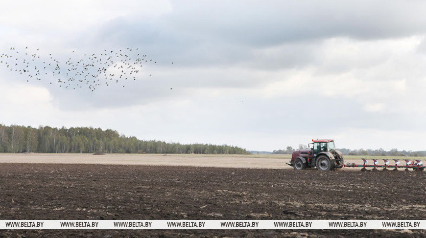 Фота з архіва