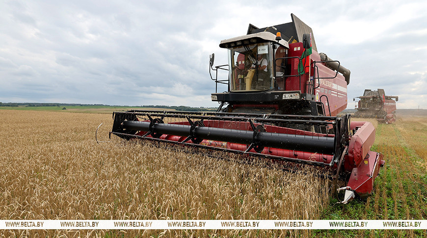 Фота з архіва