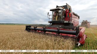 Фота з архіва