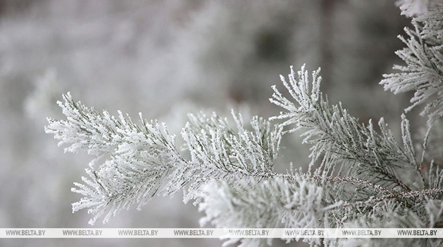 Фота з архіва