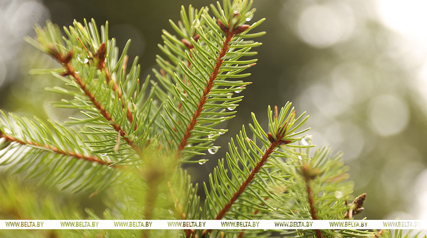 Фота з архіва