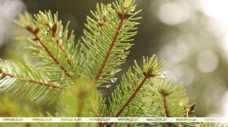 Фота з архіва