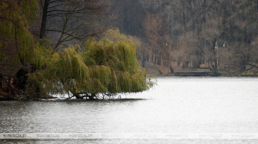 Фота з архіва