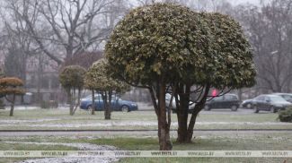 Фота з архіва