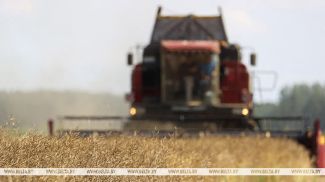 Фота з архіва