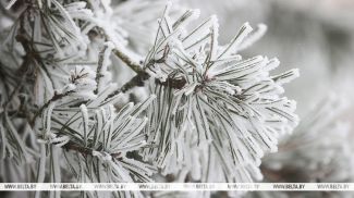 Фота з архіва