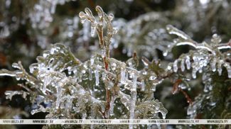 Фота з архіва