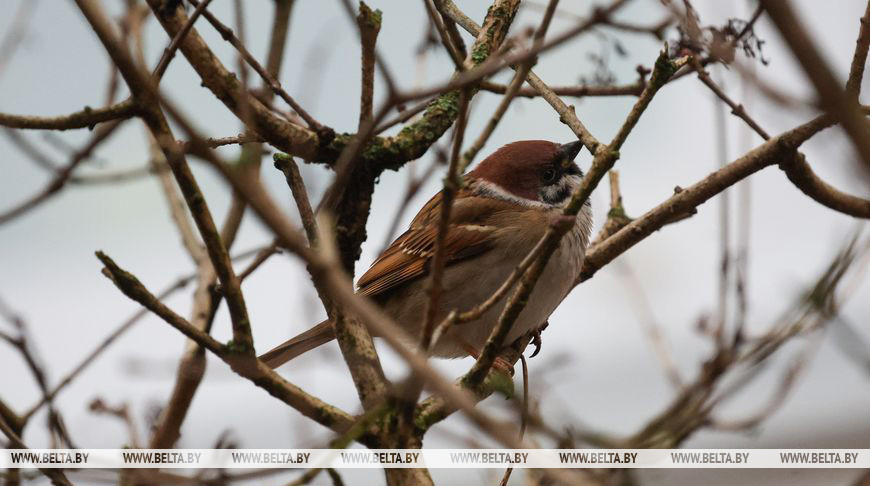 Фота з архіва