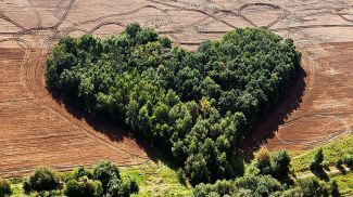 Фота з архіва фотамастака