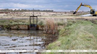 Фота з архіва