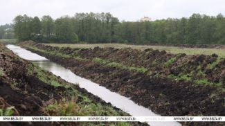 Фота з архіва