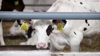 Фота з архіва