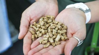 Фота з архіва