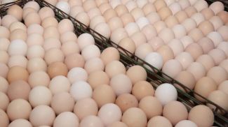 Фота з архіва