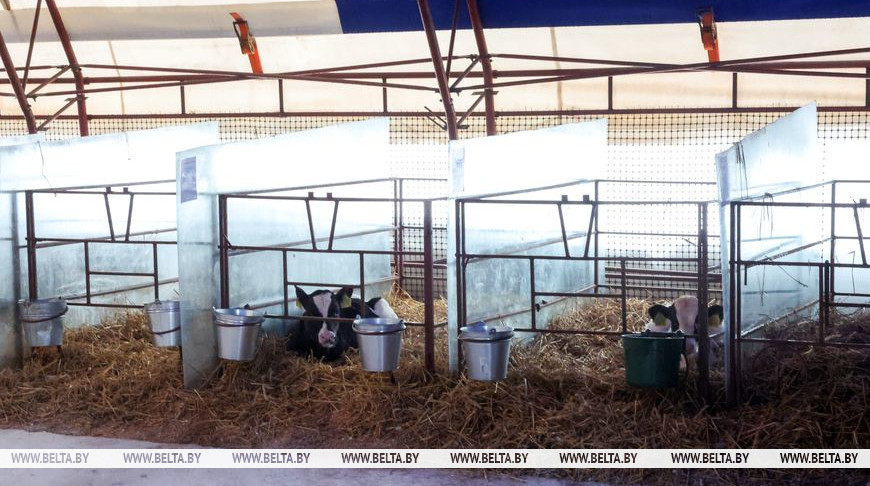 Фота з архіва