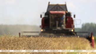 Фота з архіва