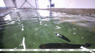 Фота з архіва