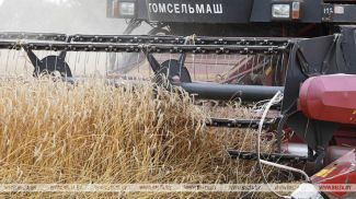 Фота з архіва