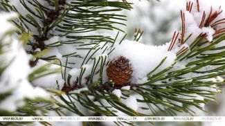 Фота з архіва