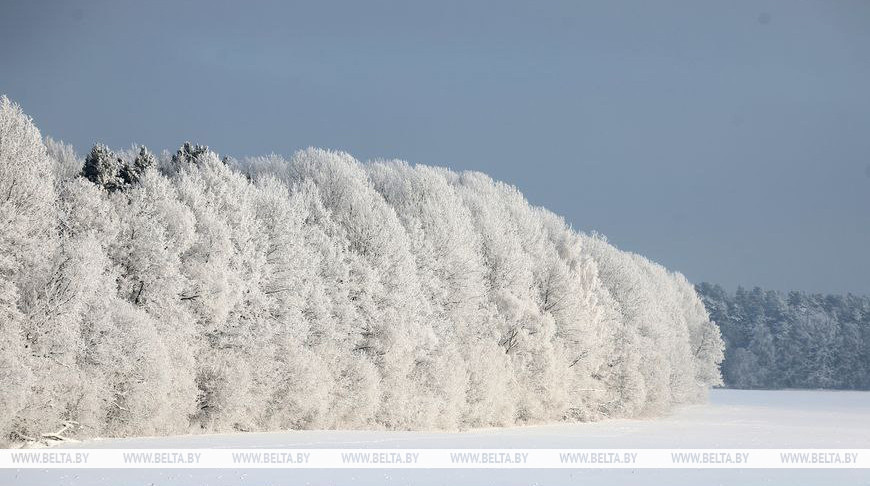 Фота з архіва