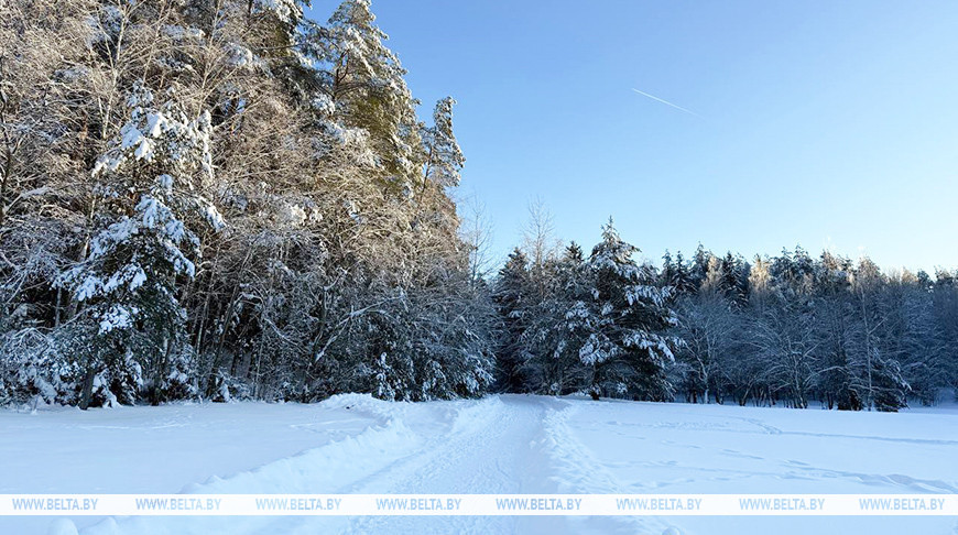 Фота з архіва