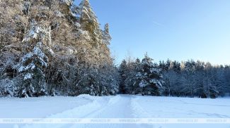 Фота з архіва