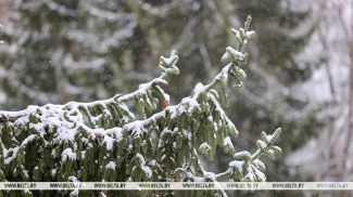 Фота з архіва