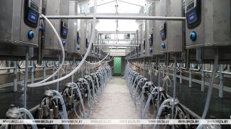 Фота з архіва