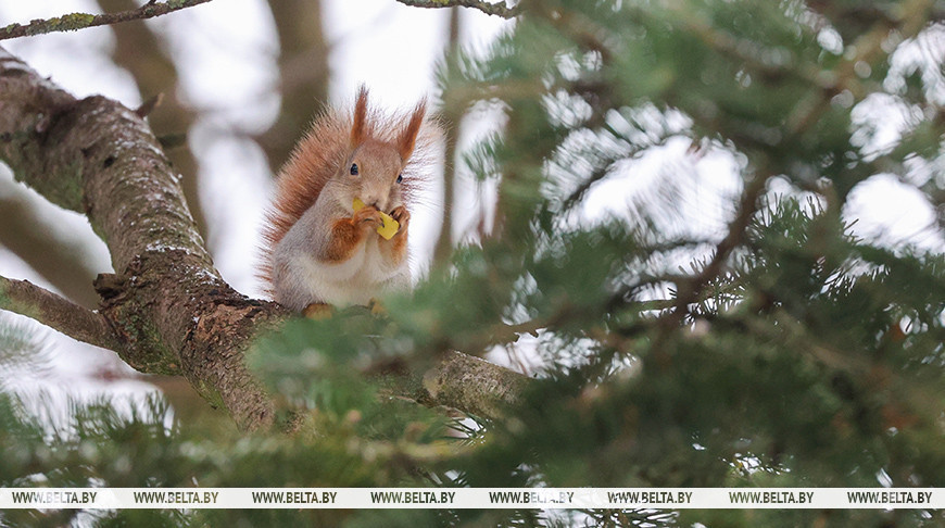 Фота з архіва