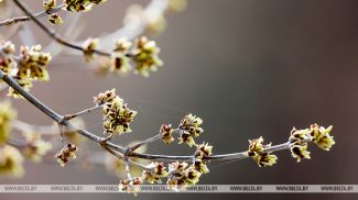 Фота з архіва
