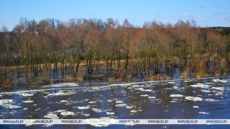 Фота з архіва