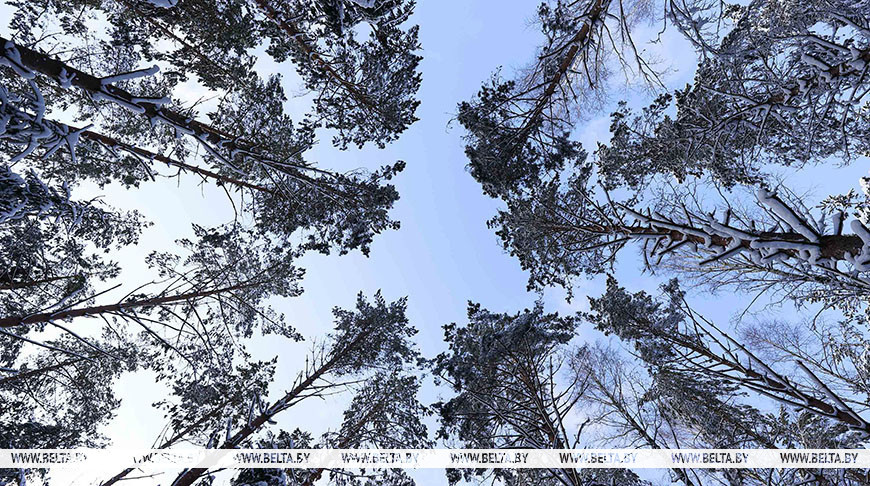 Фота з архіва