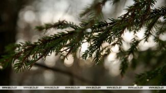 Фота з архіва