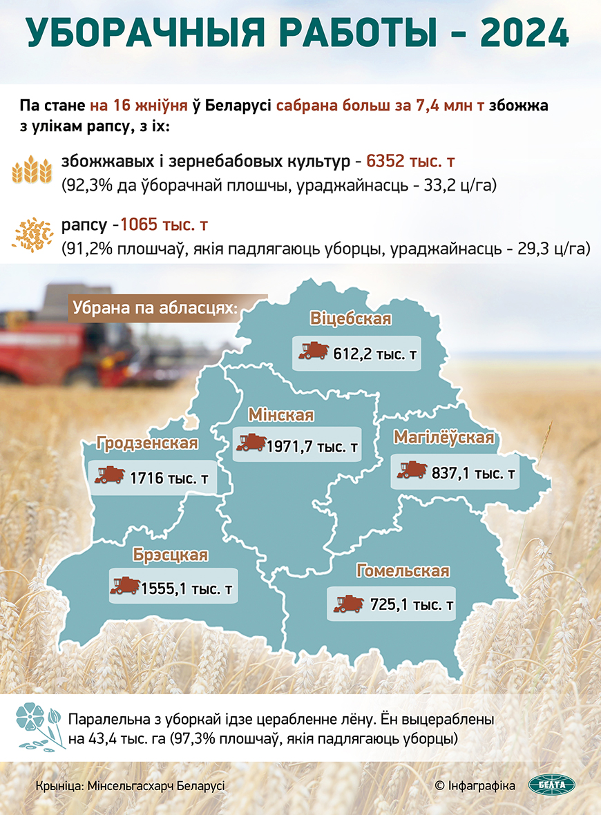 Уборачныя работы - 2024