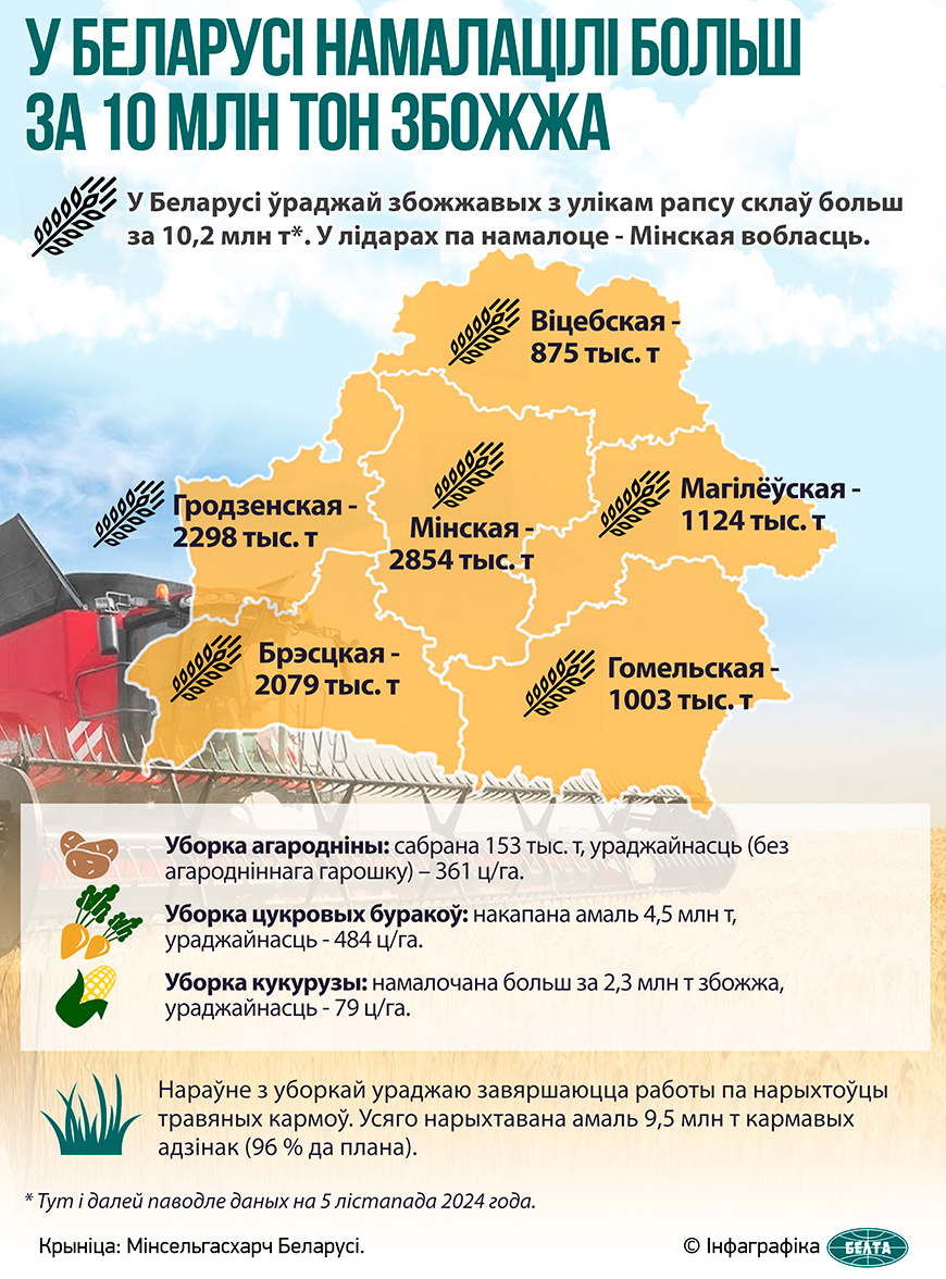 У Беларусі намалацілі больш за 10 млн тон збожжа  