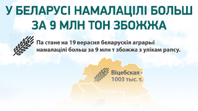 У Беларусі намалацілі больш за 9 млн тон збожжа