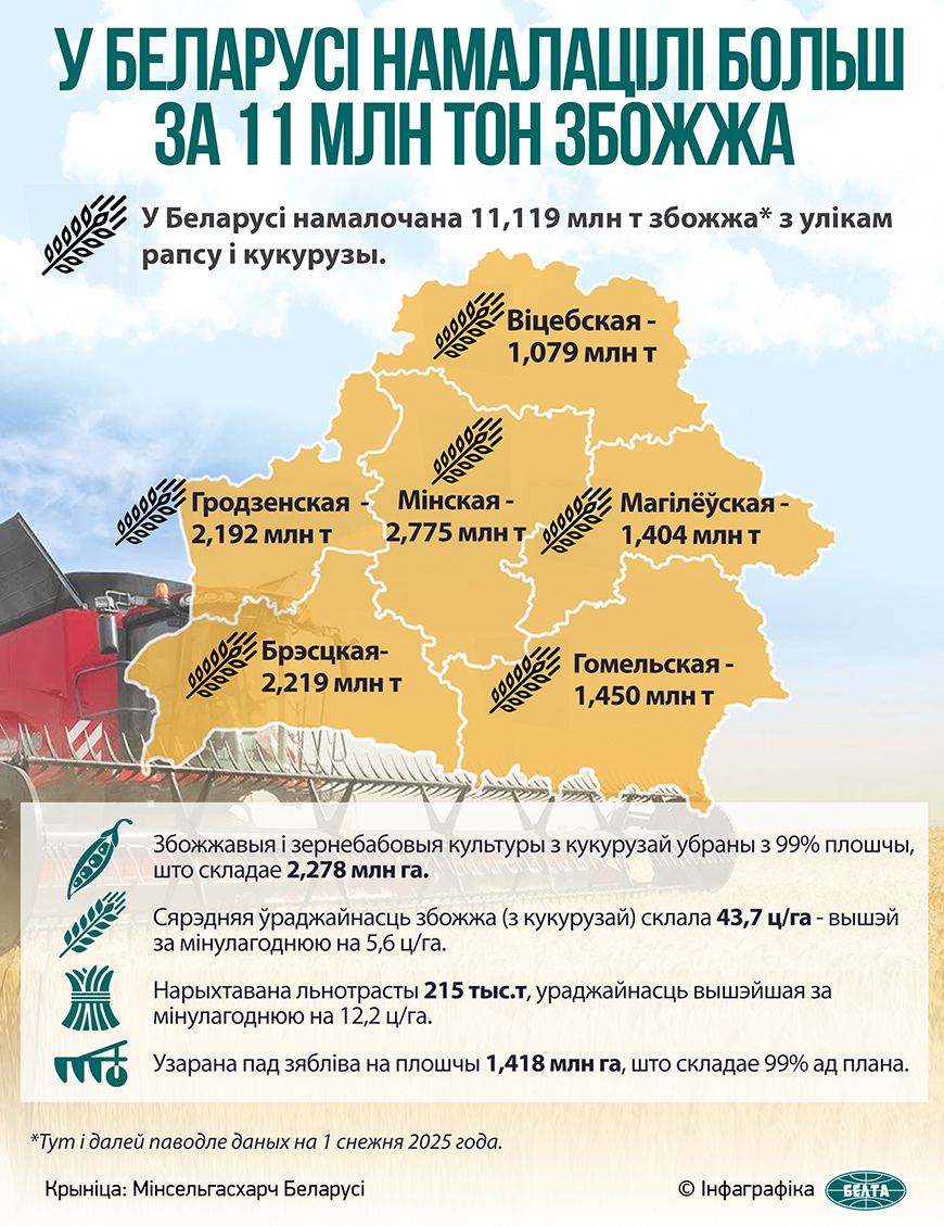 У Беларусі намалацілі больш за 11 млн тон збожжа
