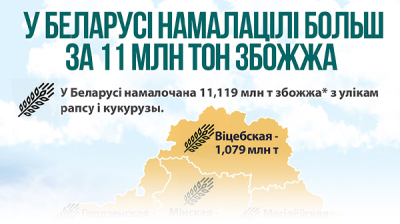 У Беларусі намалацілі больш за 11 млн тон збожжа