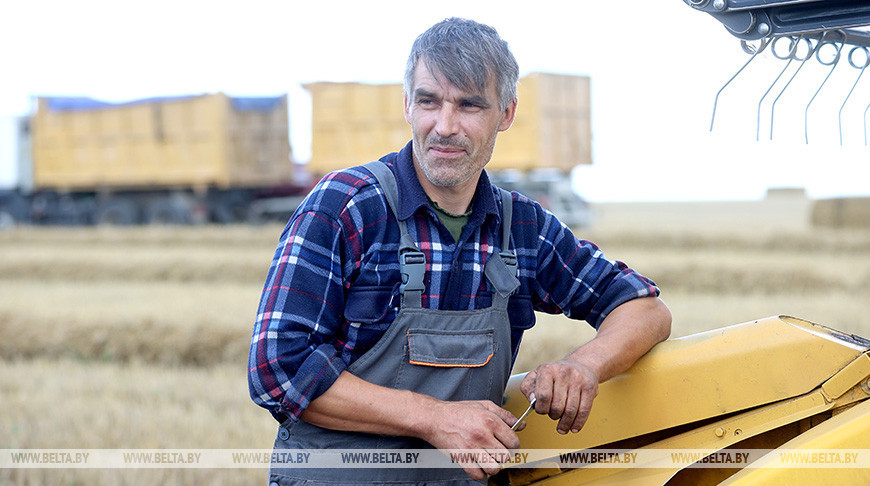 На жніве ў Гродзенскай вобласці вызначыўся механізатар-шасцітысячнік